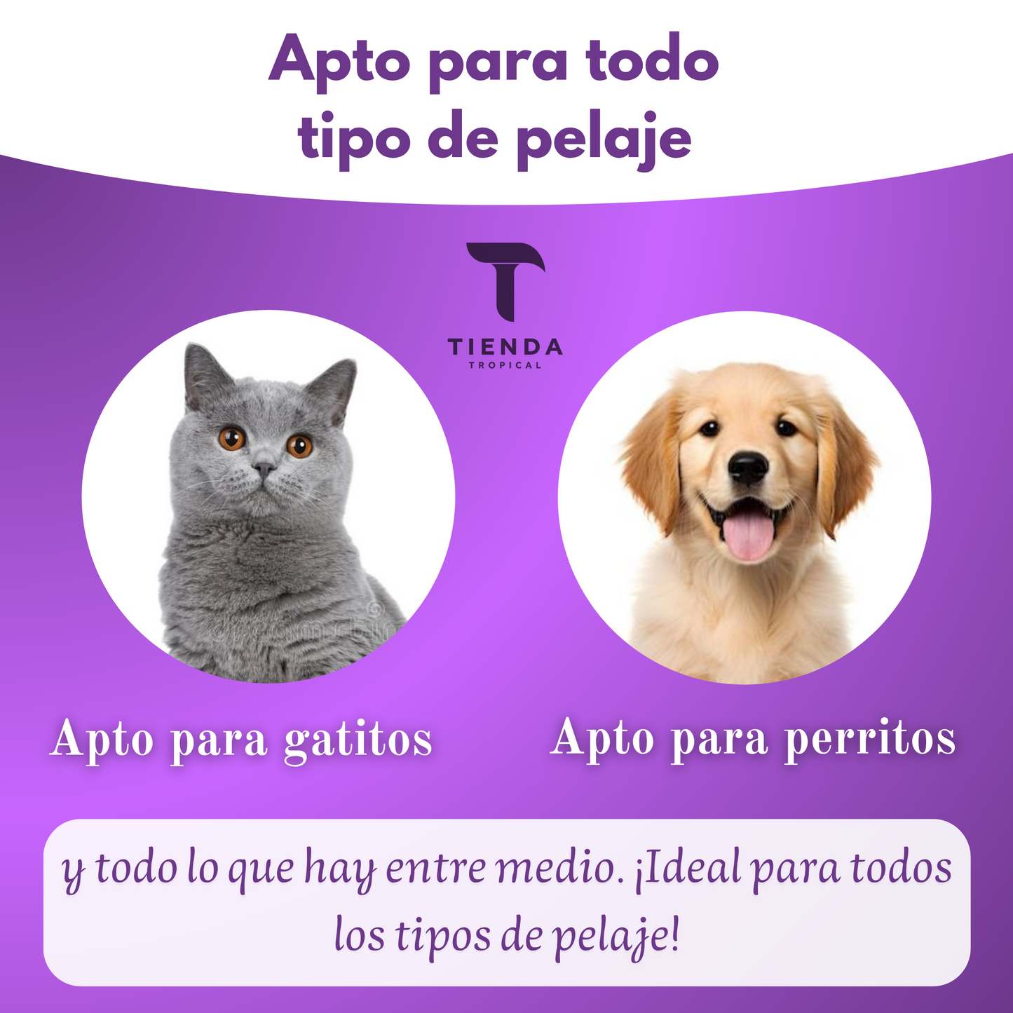 Furlessy™ - Peine de Dientes Finos para el Pelo de Mascotas