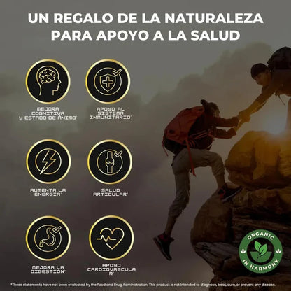 GOMAS SHILAJIT 🤩- Energía, Fuerza y Vitalidad